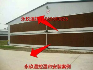 国产麻豆一级片安装现场