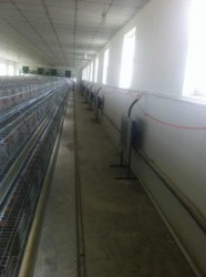 麻豆一级毛片安装现场