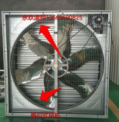 推拉式麻豆一级毛片